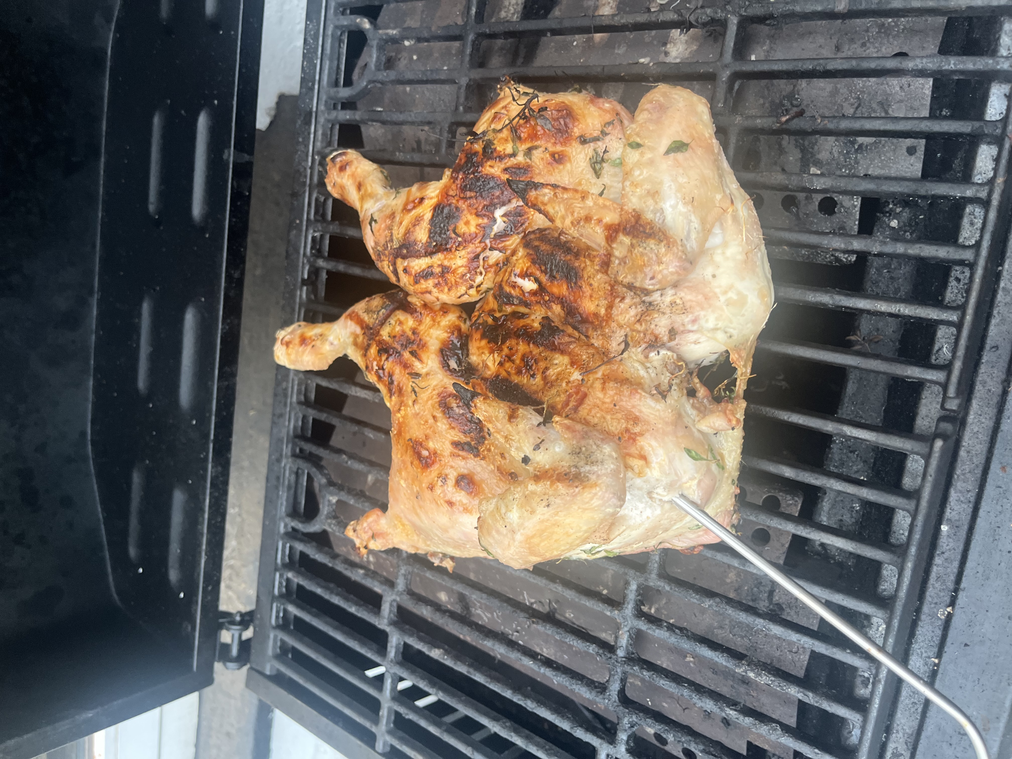 Grillkyllin
