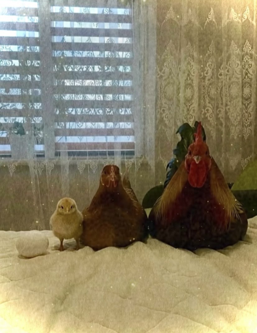 før