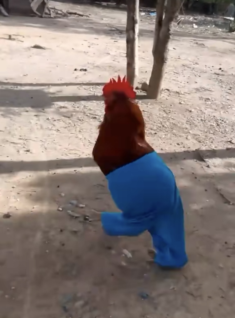 Hvor skal du hen?